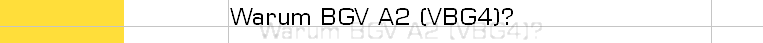 Warum BGV A2?