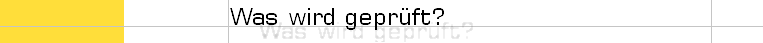 Was wird geprüft?